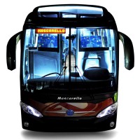 /album/mascarello-e-marcopolo/mascarello-henriqueminibus-jpg/